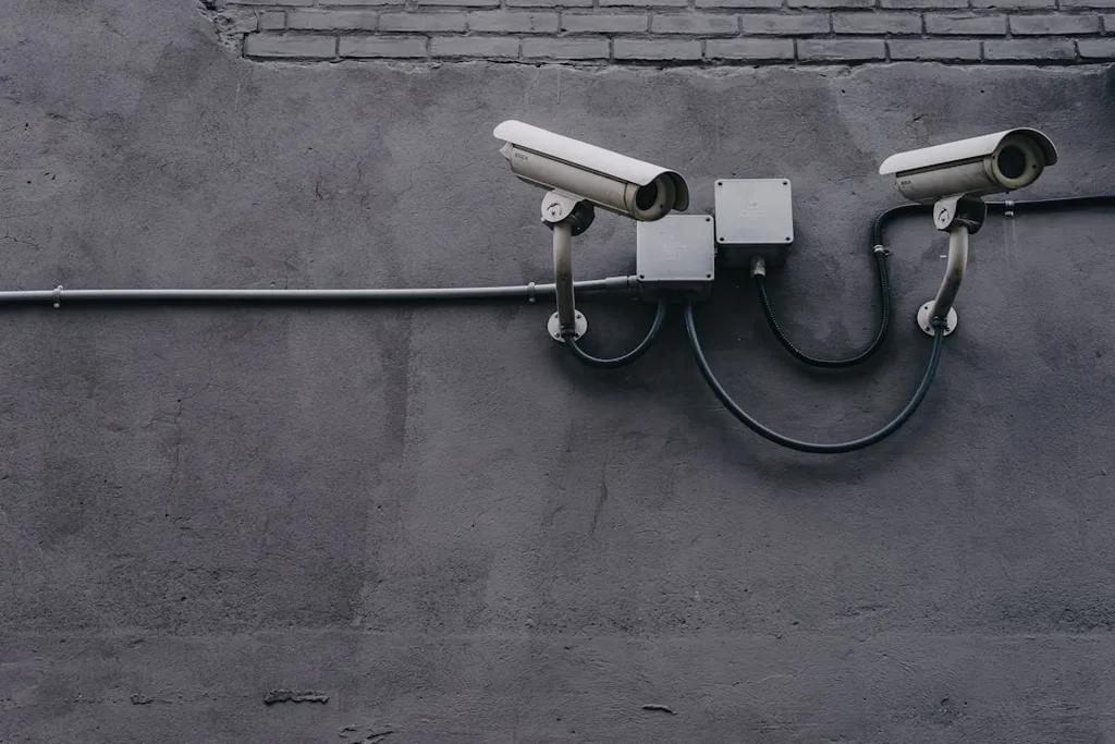 Professional security systems service engagement